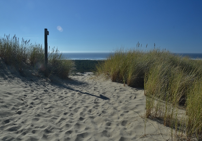 sandy dunes and the beach in the background